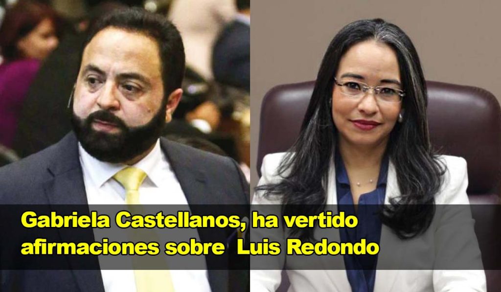 Gabriela Castellanos, ha vertido afirmaciones contundentes sobre el diputado Luis Redondo, y su oscuridad.