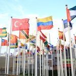 ¿Qué instituciones combaten la corrupción?