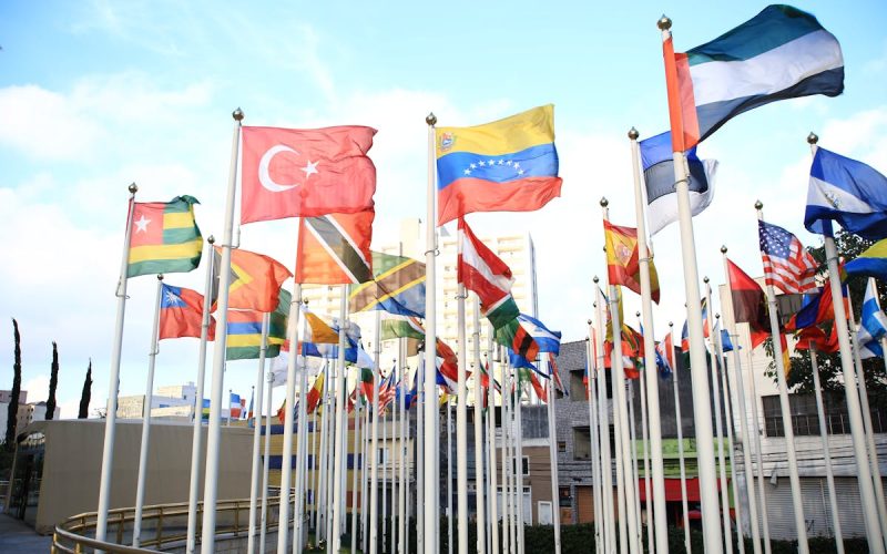 ¿Qué instituciones combaten la corrupción?