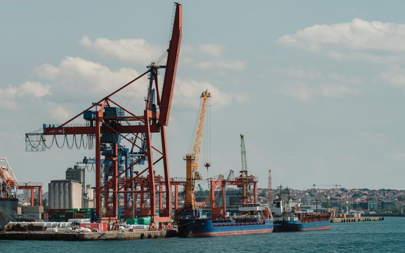 Características del proteccionismo comercial