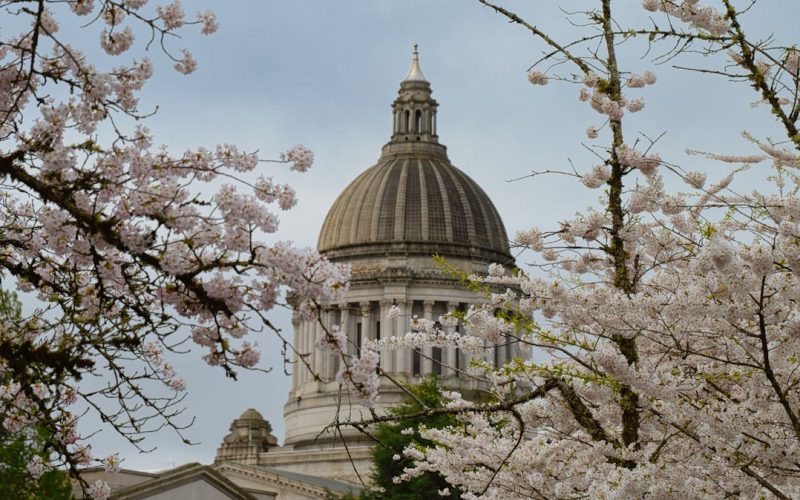 Cómo la corrupción frena el desarrollo económico