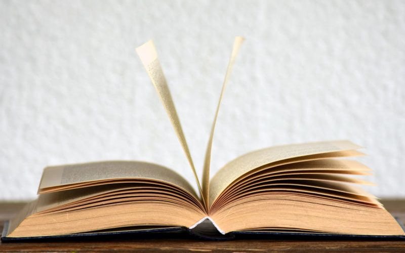 Consecuencias de la corrupción en política